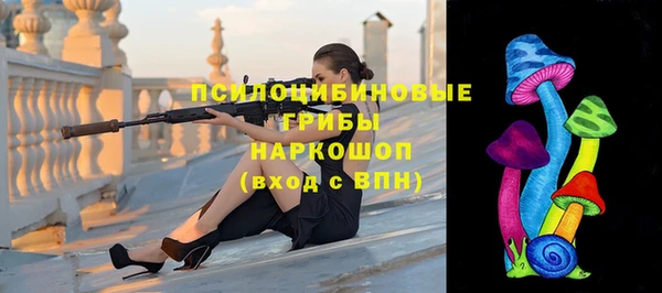 МДПВ Рославль