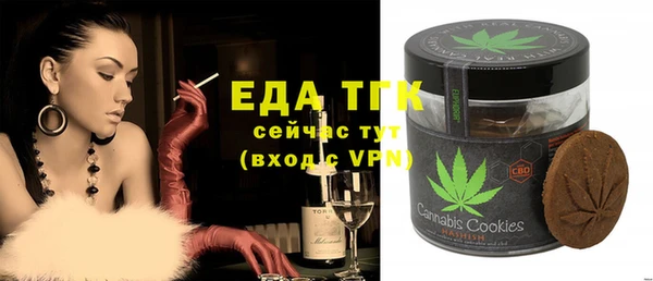 МДПВ Рославль