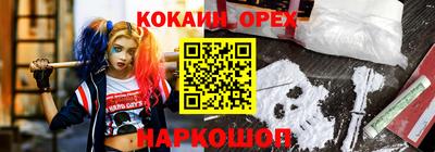 амф Заволжье