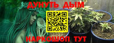 ECSTASY Заводоуковск