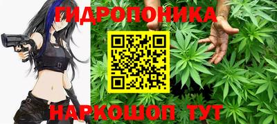 ECSTASY Заводоуковск