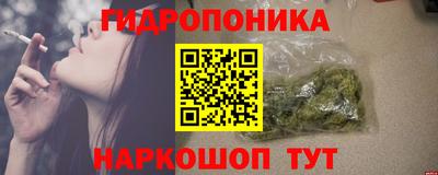 амф Заволжье