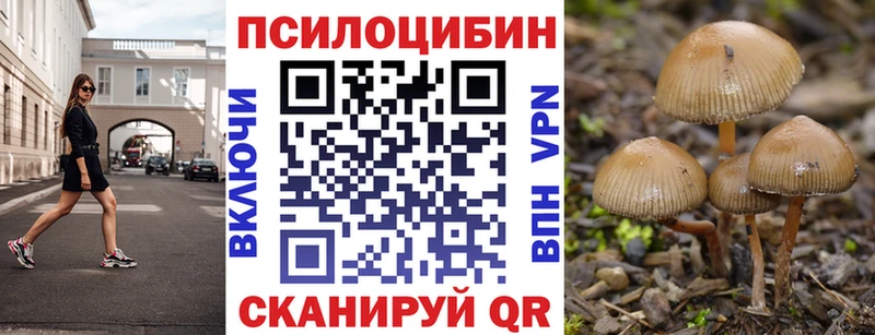 даркнет формула  Карачаевск  Галлюциногенные грибы Psilocybe 