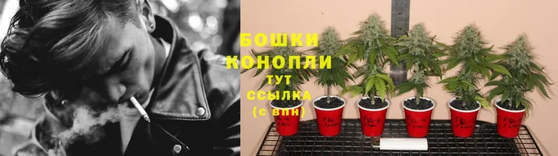 Каннабис SATIVA & INDICA  закладка  Карачаевск 